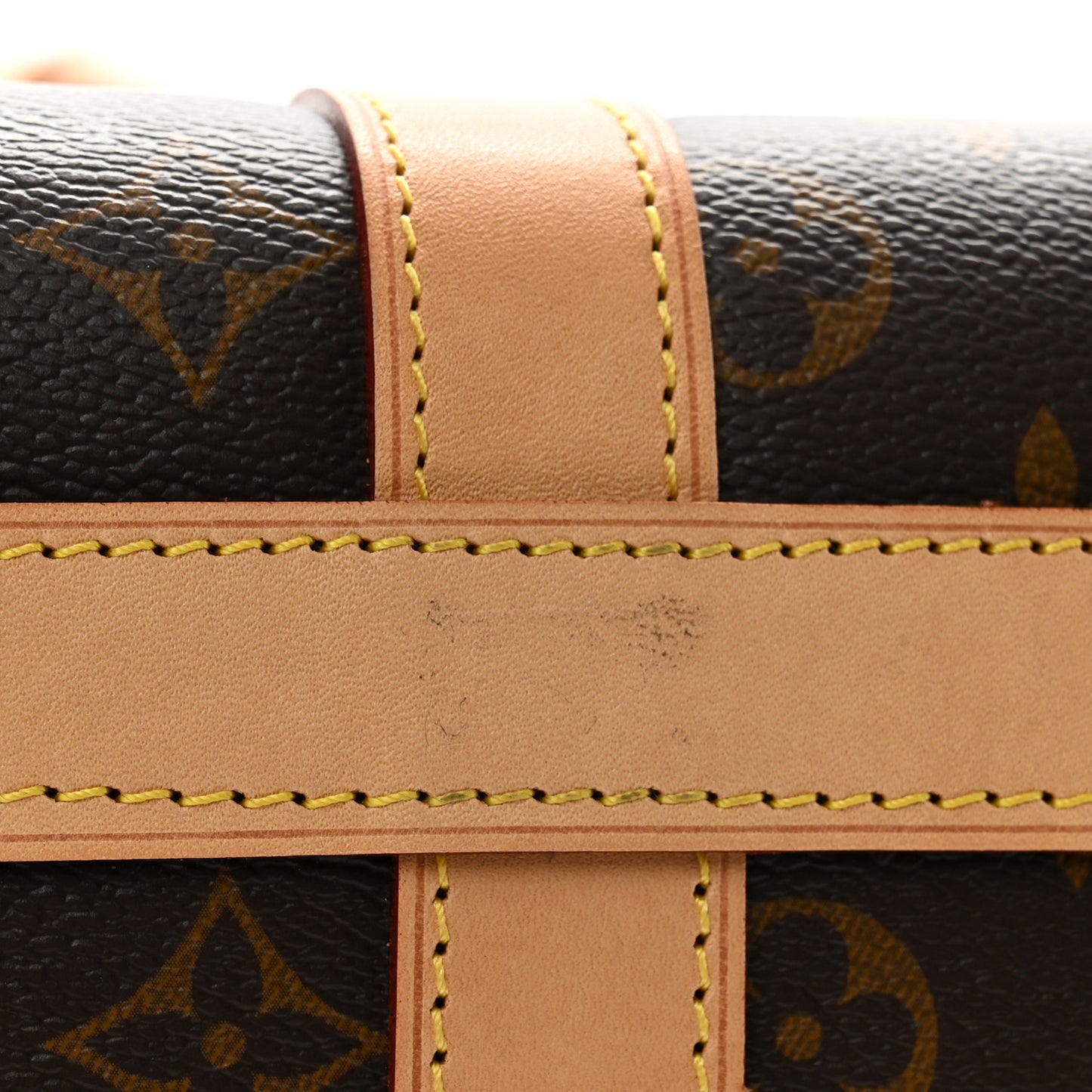 Monogram Dog Carrier 45