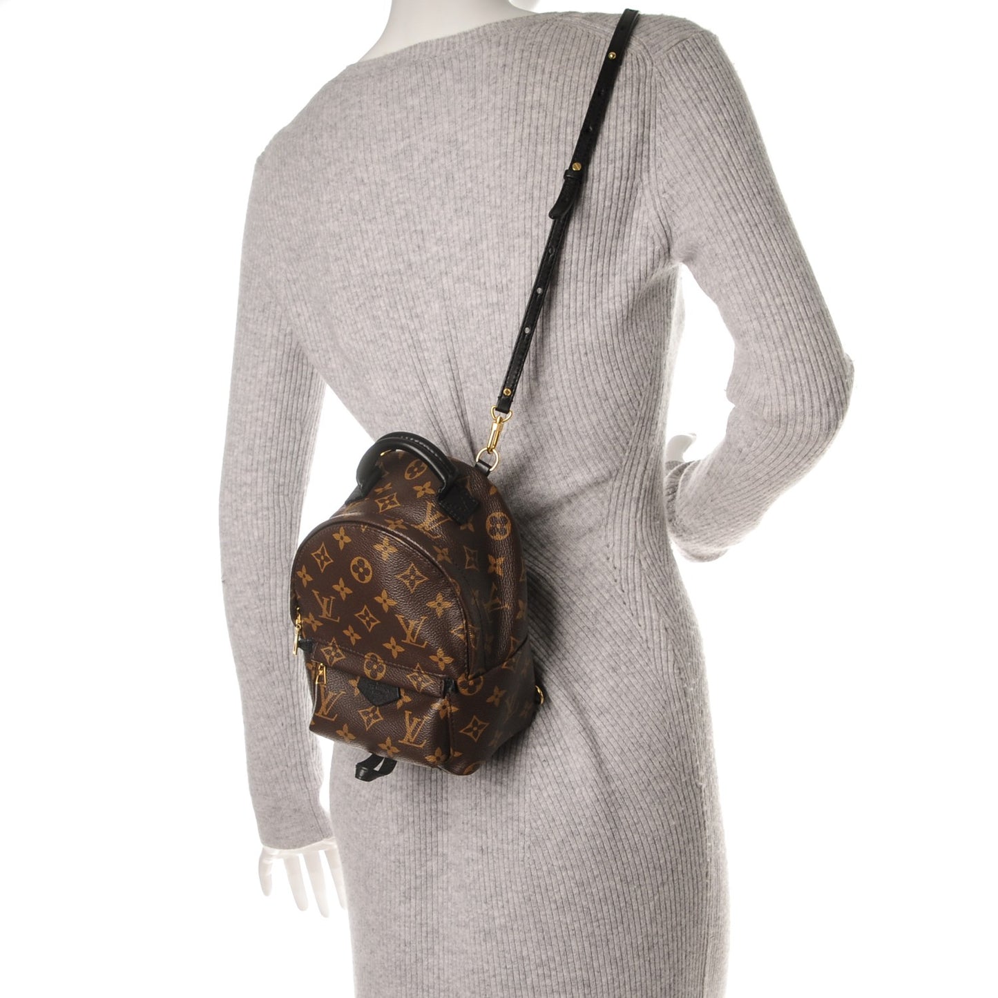 Monogram Palm Springs Backpack Mini