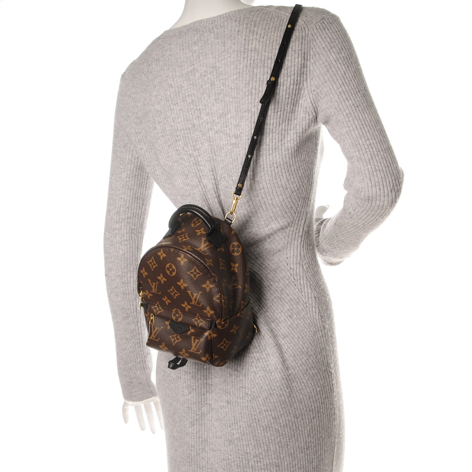 Louis Vuitton Monogram Palm Springs Backpack Mini 2 of 9
