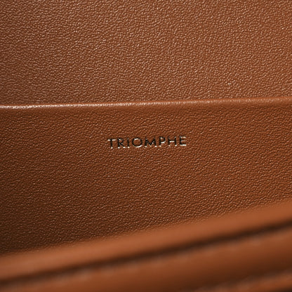 Celine Triomphe Canvas Calfskin Medium Triomphe Bag Tan 6 of 10