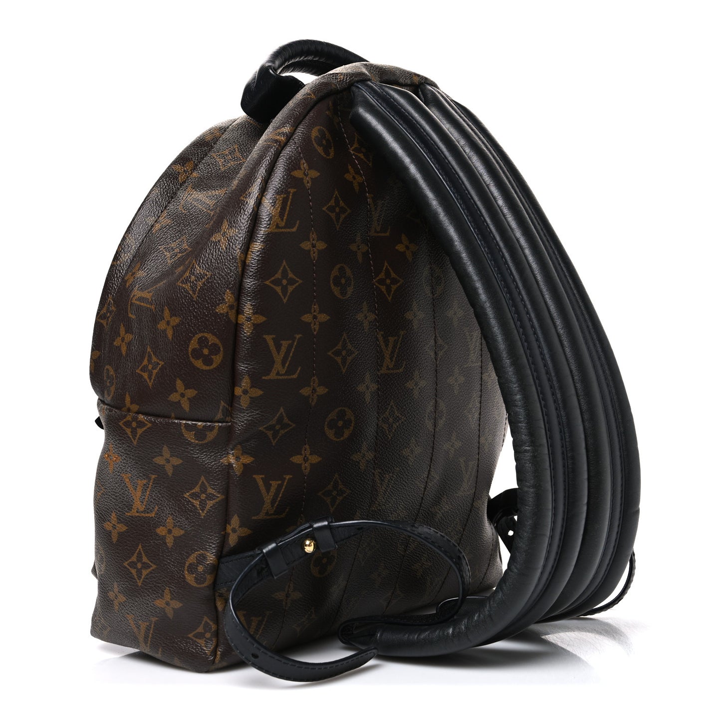 Monogram Palm Springs Backpack MM