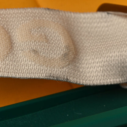 Goyard Goyardine Bourget PM Green 11 of 18