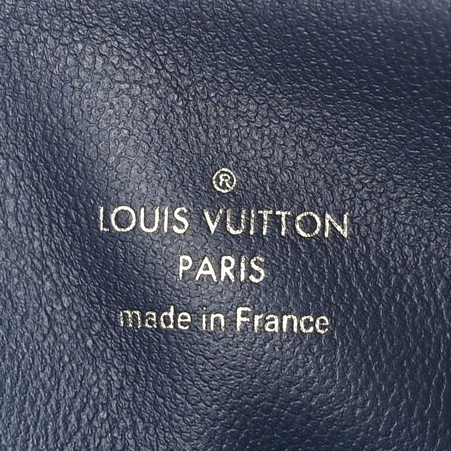 Louis Vuitton Lambskin Printed Monoglam Coussin PM Blue 9 of 11