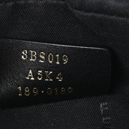 Fendi Glazed Fabric Vitello Century FF 1974 Stamp Patch Mini Camera Case Mogano Panna Black 7 of 9