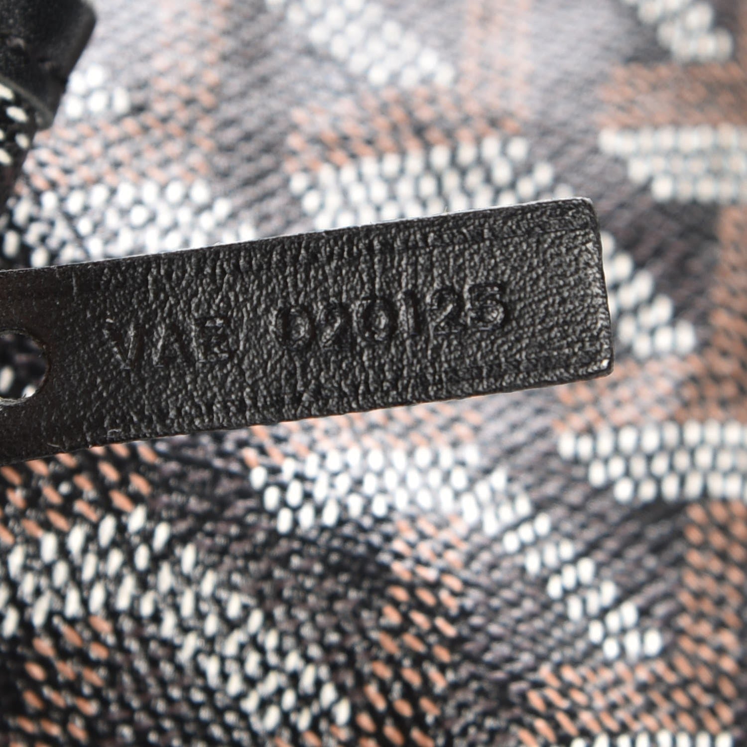 Goyard Goyardine Saint Louis GM Black 7 of 7