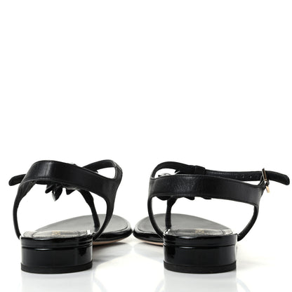 Chanel Patent Camellia Thong Sandals 37 Black 7 of 11