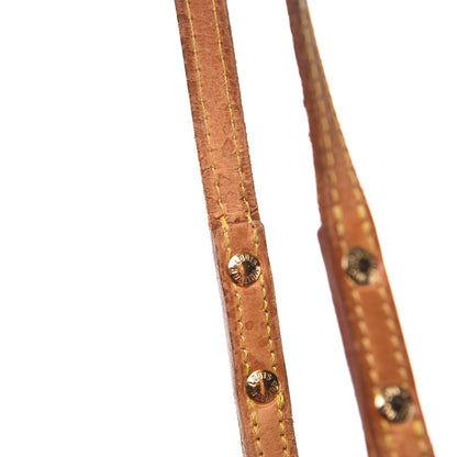 Louis Vuitton Ambre Sac Cabas GM 15 of 15