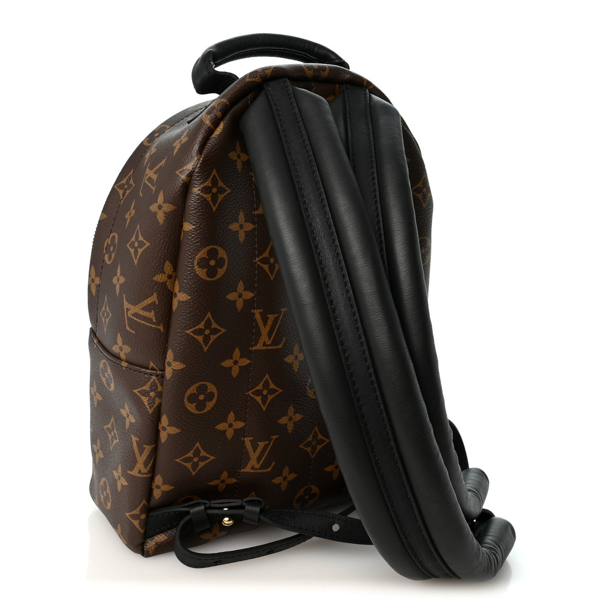 Monogram Palm Springs Backpack PM