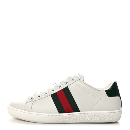 Gucci Calfskin Crocodile Web Womens Ace Sneakers 36 White Green 2 of 9