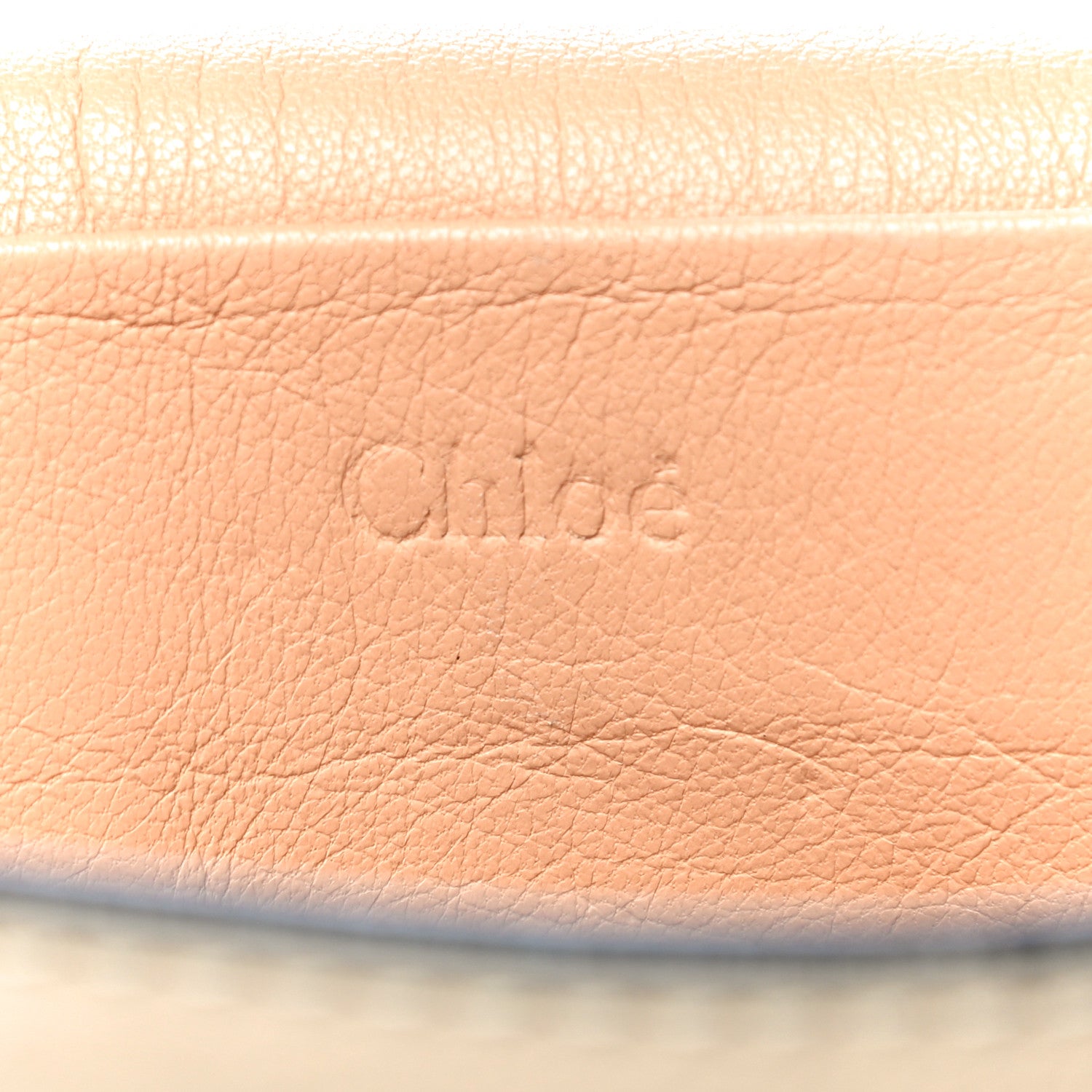 Chloe Goatskin Medium Elsie Shoulder Bag Dove 14 of 26