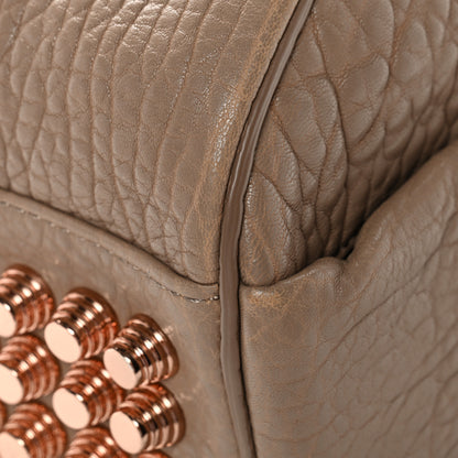 Alexander Wang Pebbled Lambskin Rocco Latte Rose Gold Hardware 10 of 10
