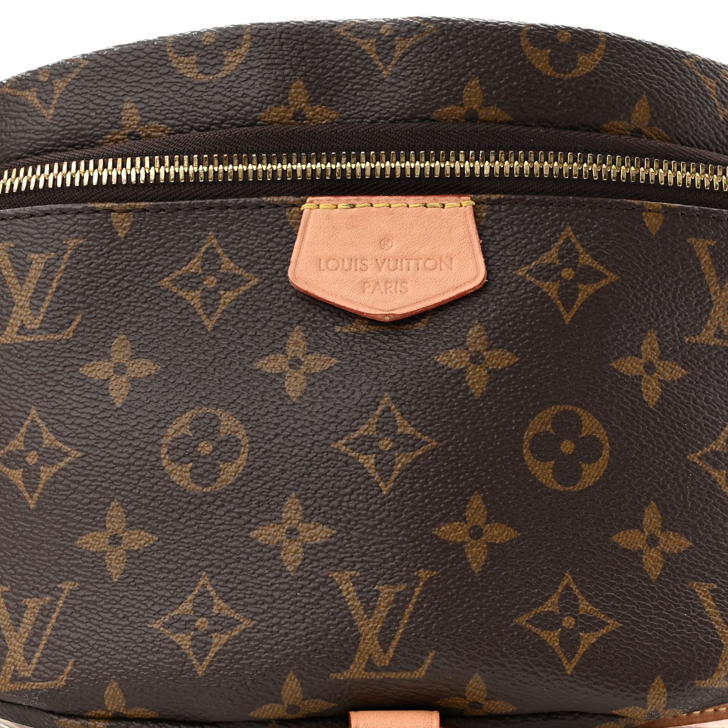 Louis Vuitton Monogram Bumbag 7 of 10