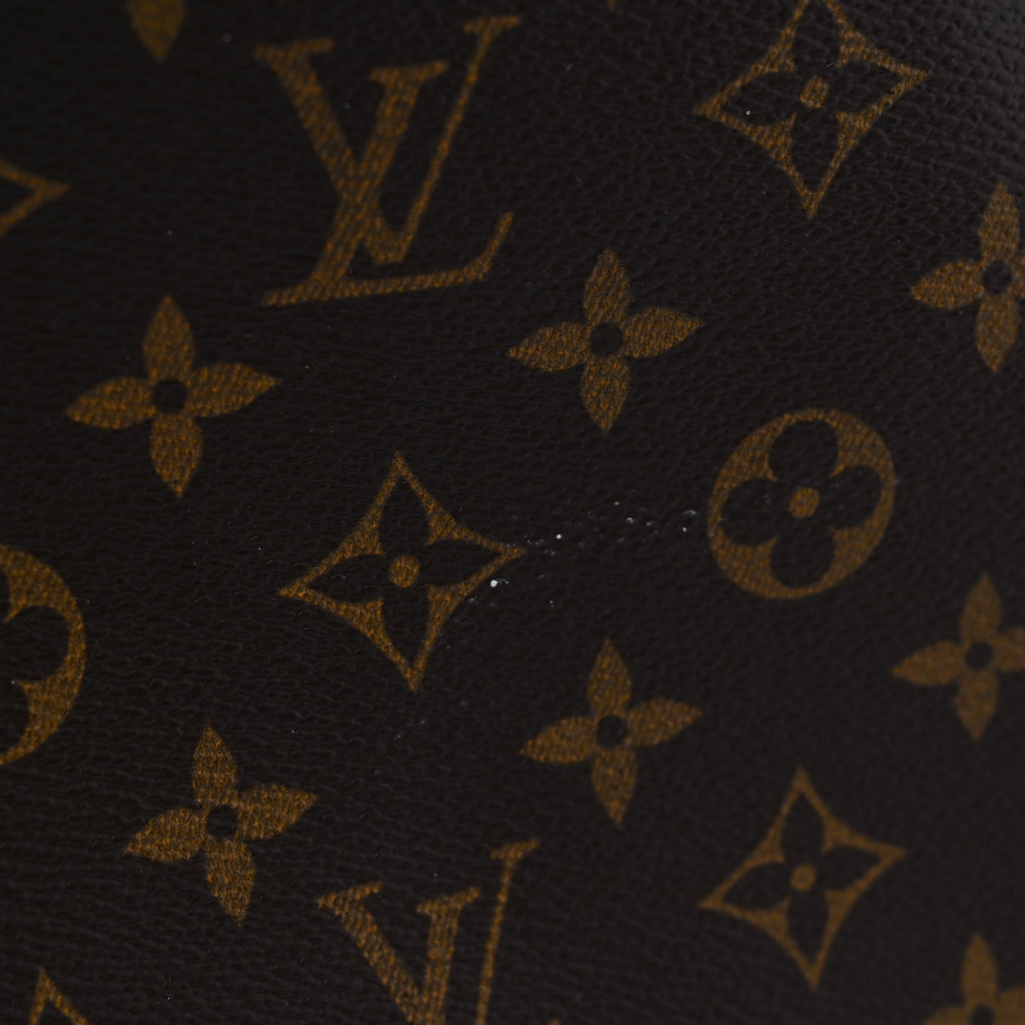 Monogram Garment Bag