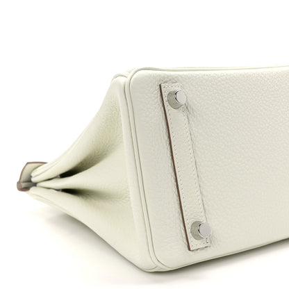 Hermes Togo Birkin 25 Mushroom 9 of 11