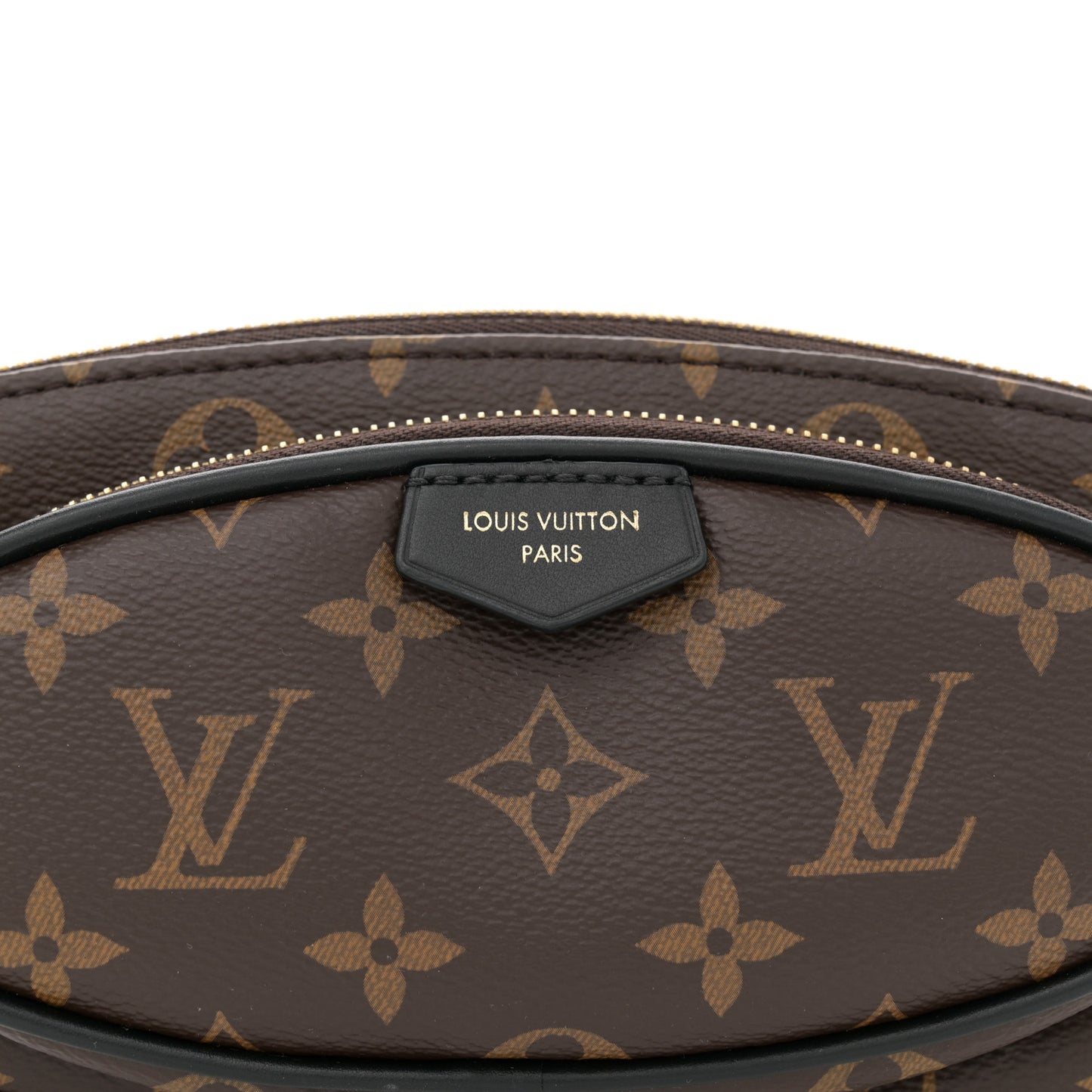 Monogram Keepit Bumbag