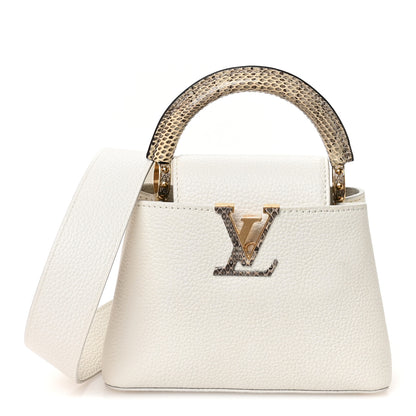 Louis Vuitton Taurillon Ayers Capucines Mini White Snow White 1 of 10