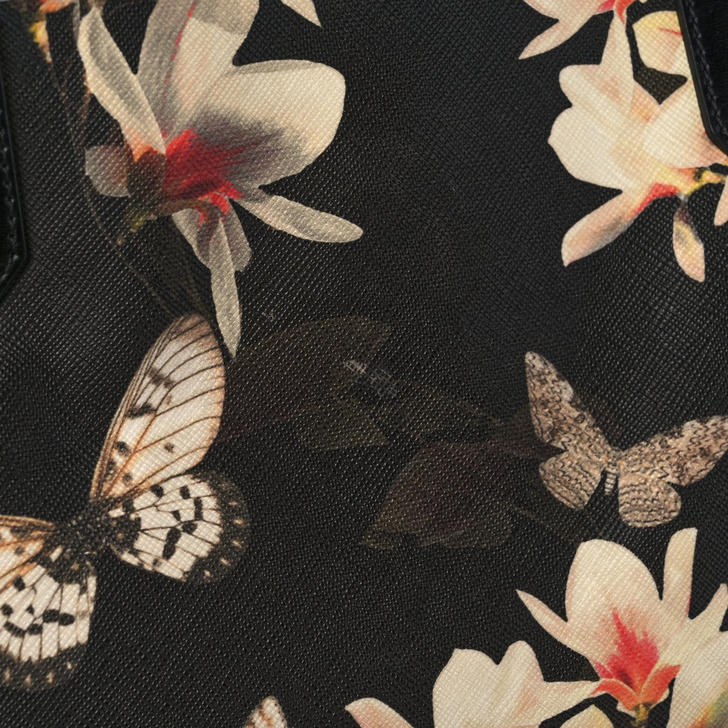 Coated Canvas Magnolia and Moth Print Medium Antigona Tote Black