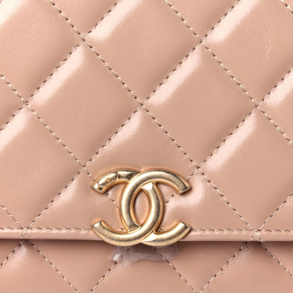 Chanel Calfskin Quilted Perfect Fit Wallet On Chain WOC Beige 12 of 15
