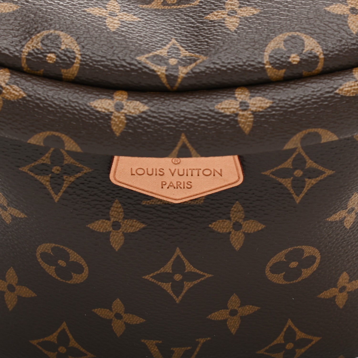 Louis Vuitton Monogram Bumbag 7 of 10