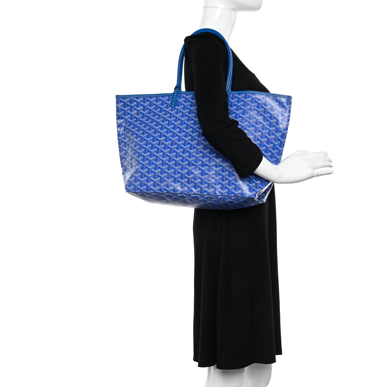 Goyard Goyardine Saint Louis PM Sky Blue 2 of 12