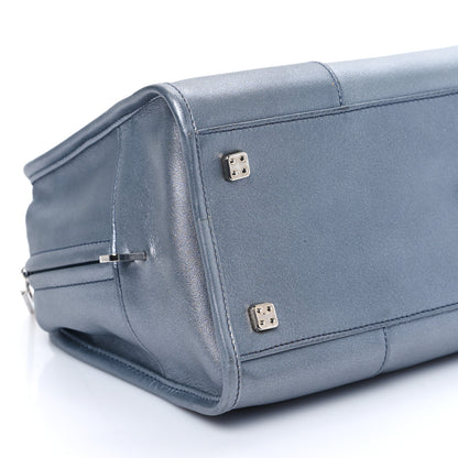 Loewe Metallic Calfskin Amazona 28 Silver 9 of 11