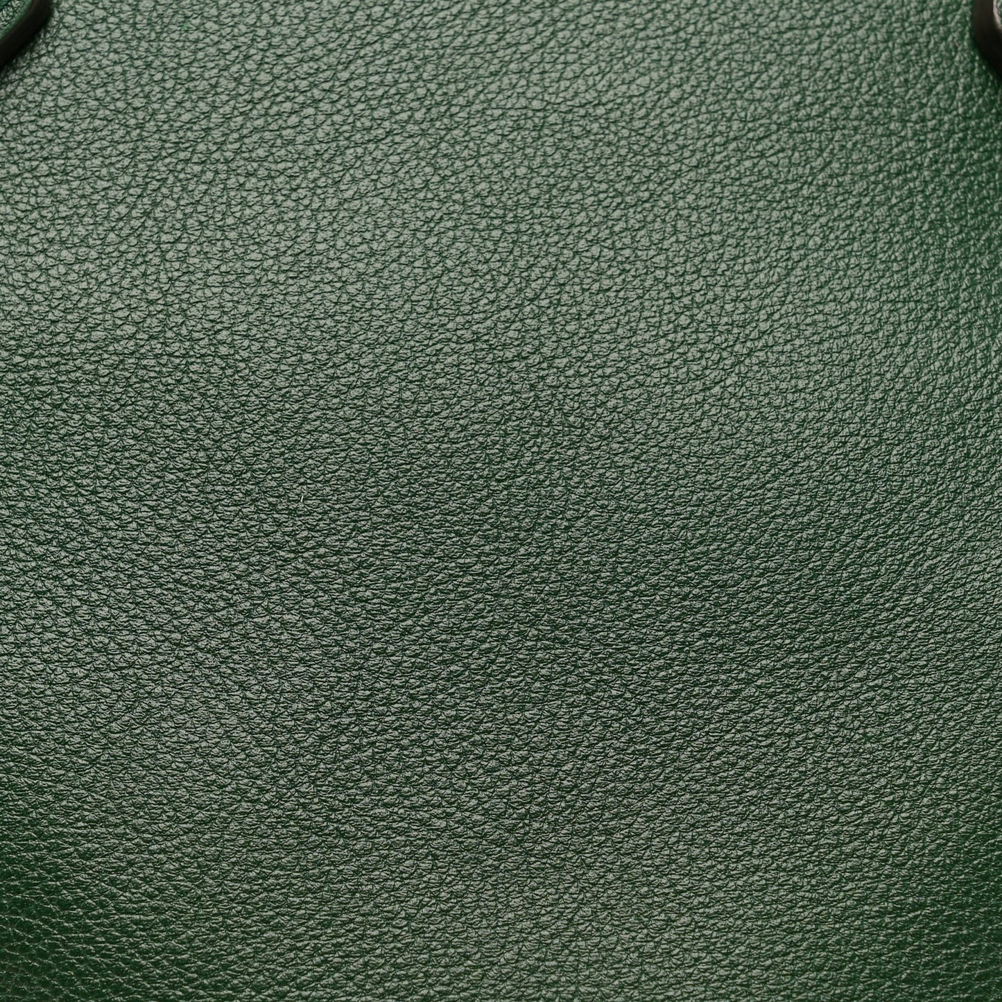 Softy Wonka Textured Dollar Calfskin Medium Diana Round Tote Bag Vintage Green Powder Pink