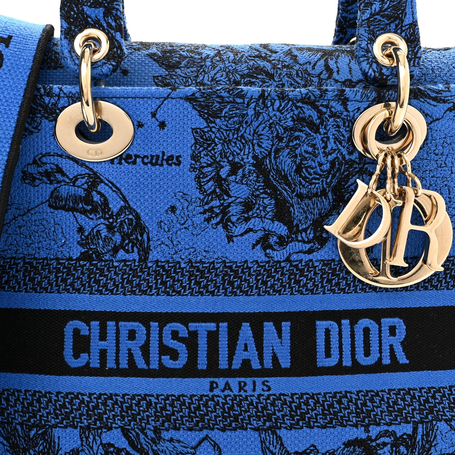 Christian Dior Canvas Toile de Jouy Zodiac Embroidered Medium Lady D-Lite Blue 7 of 9