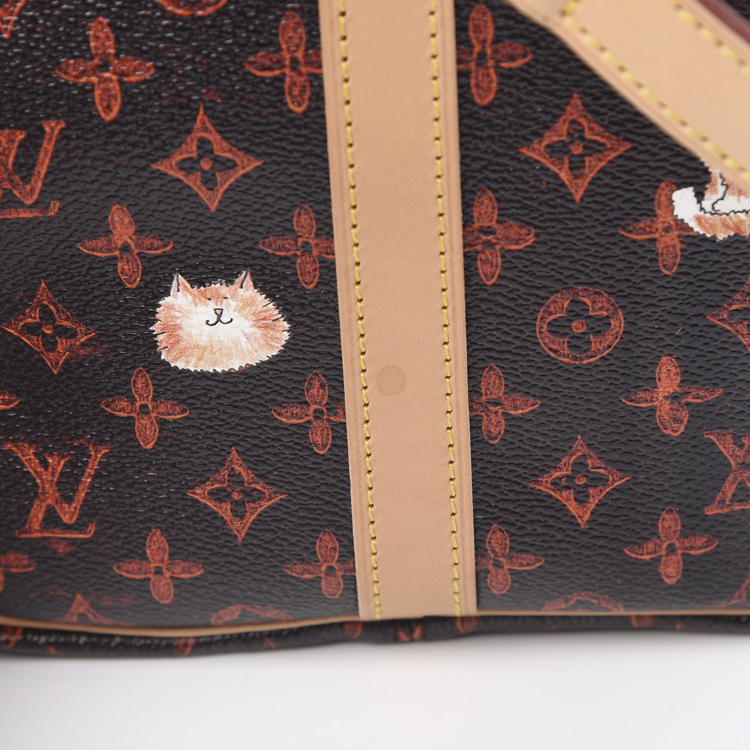 Louis Vuitton Catogram Speedy Bandouliere 30 Marron 12 of 12