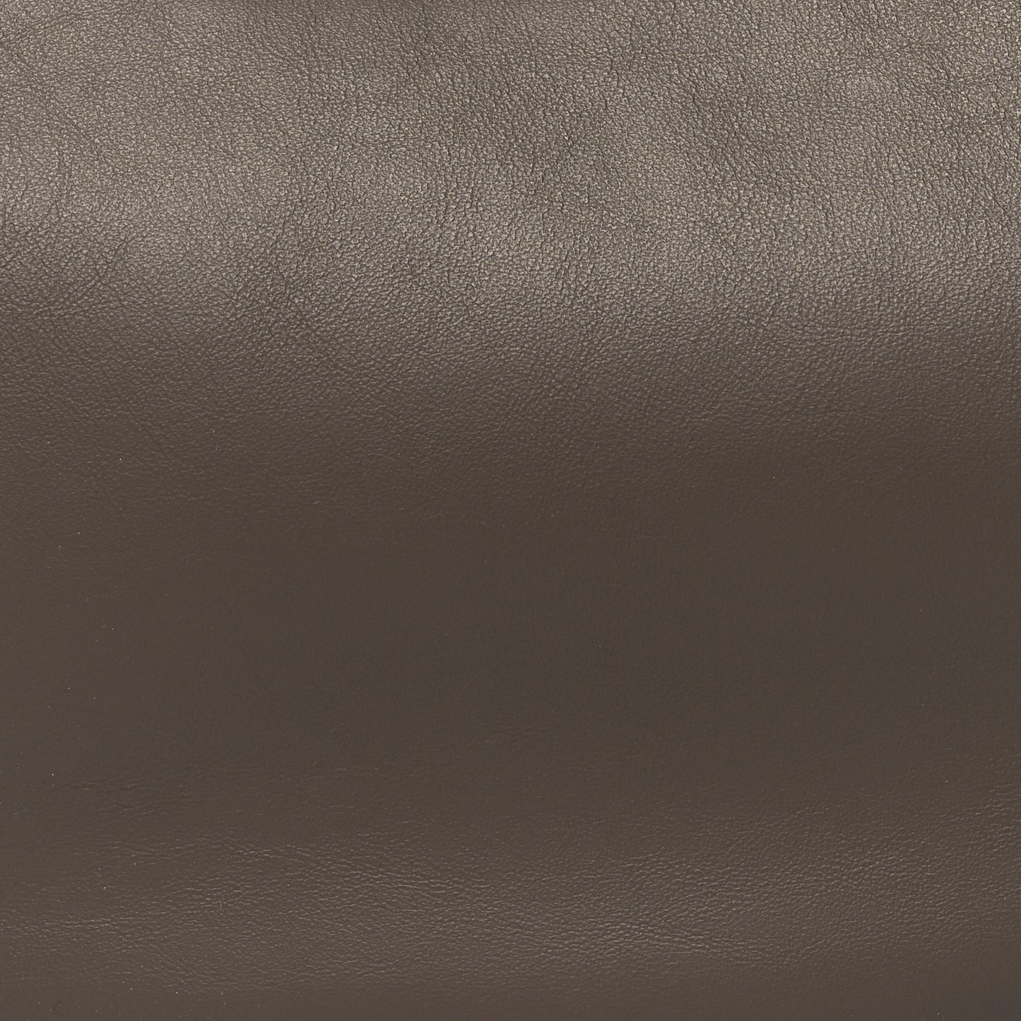 Vitello Grace Matte Small Fendigraphy Hobo Bag Dark Coffee