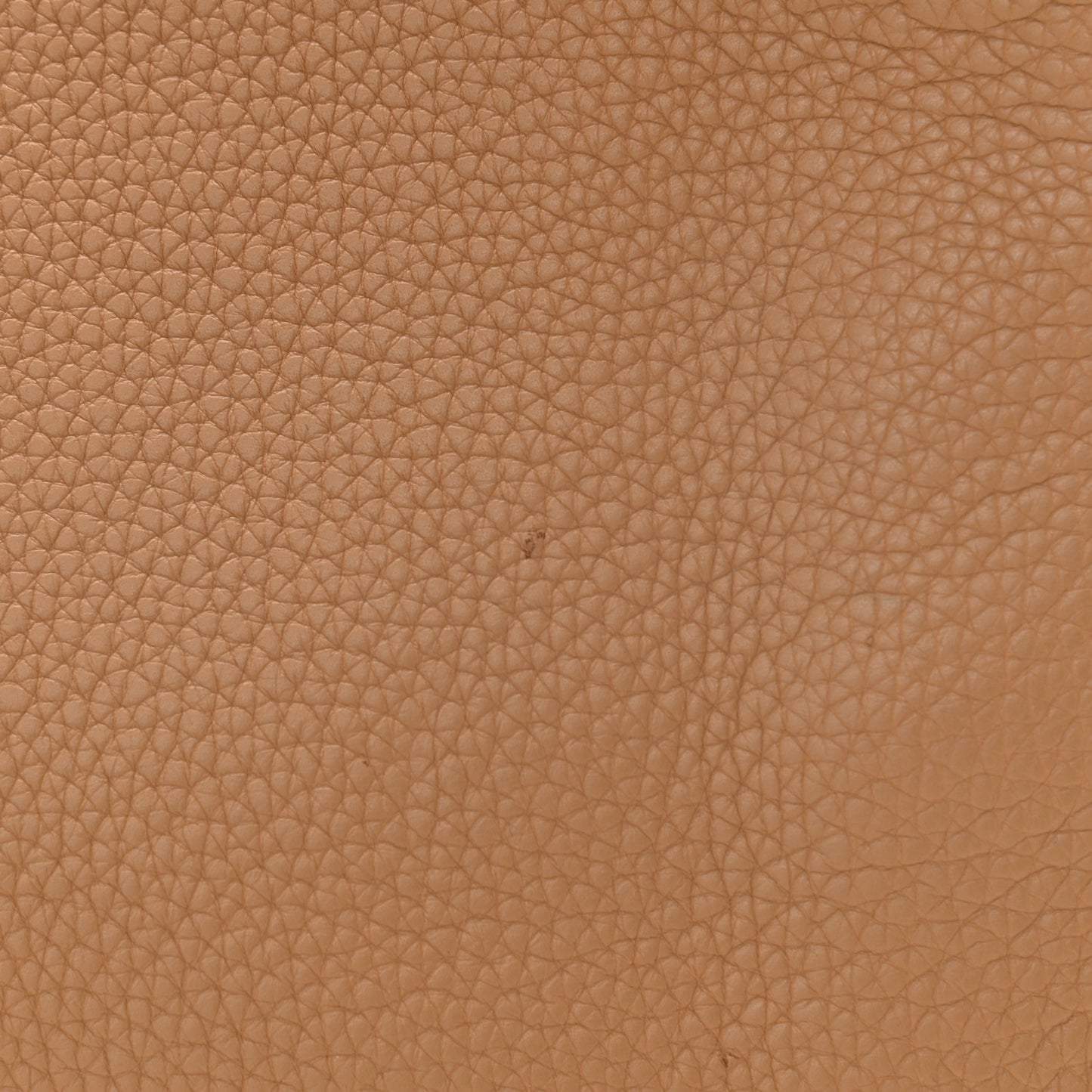 Taurillon Clemence Kelly Retourne 32 Camel Tabac