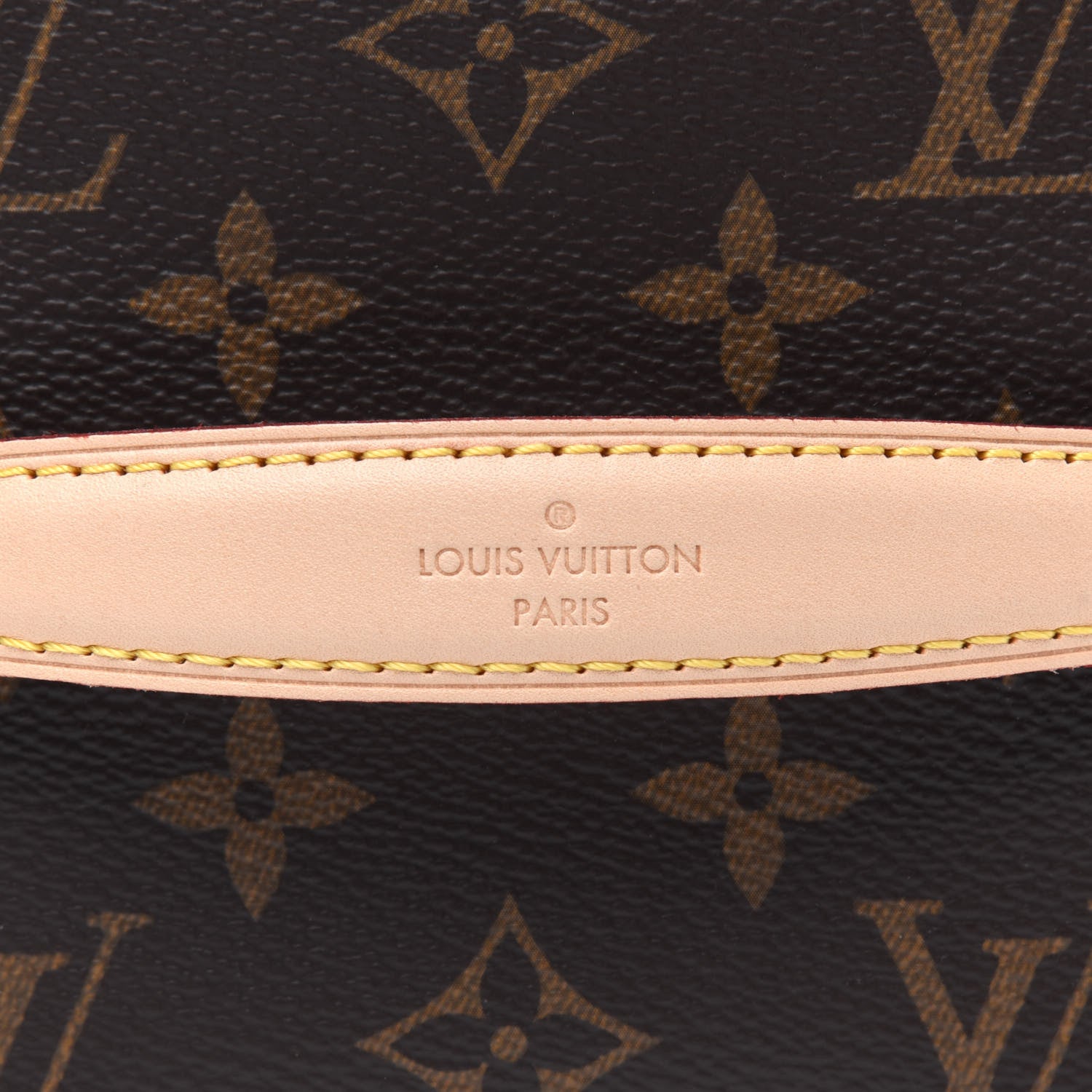Louis Vuitton Monogram Nice Mini 10 of 11