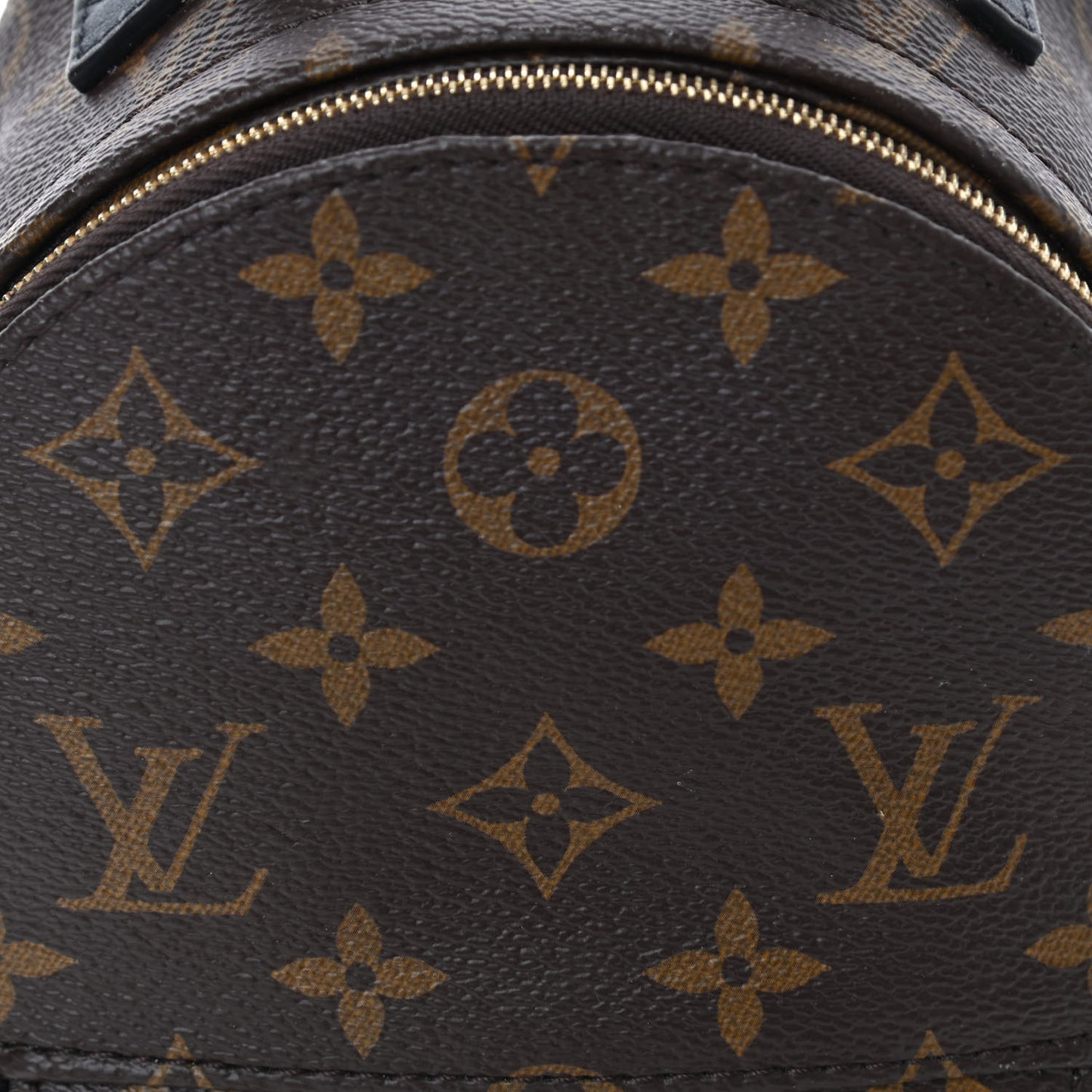 Monogram Palm Springs Backpack Mini