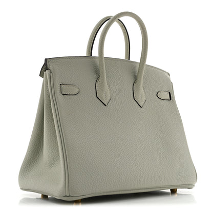 Hermes Togo Birkin 25 Gris Neve 3 of 14