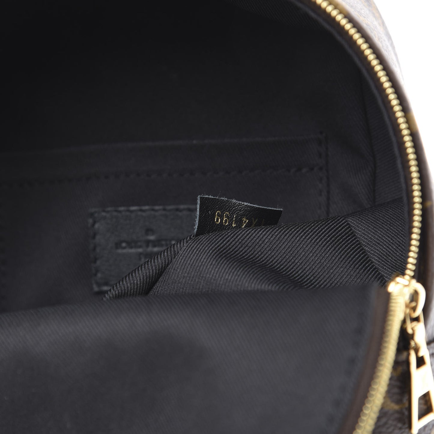 Monogram Palm Springs Backpack Mini