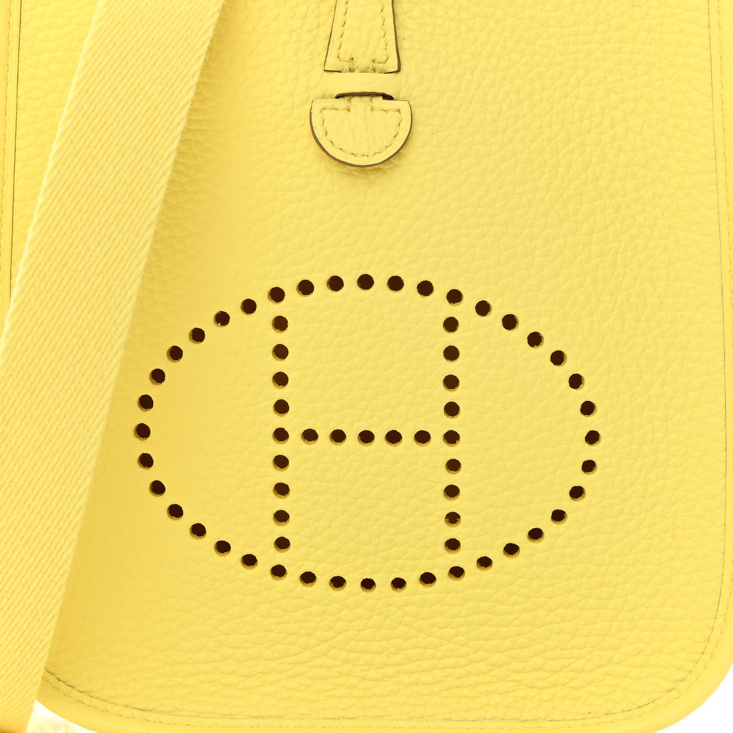 Taurillon Clemence Evelyne TPM Limoncello