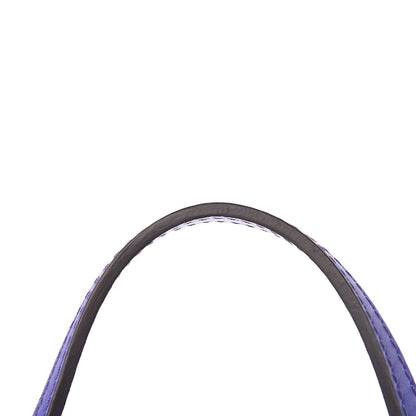 Louis Vuitton Epi Neverfull PM Figue 16 of 22
