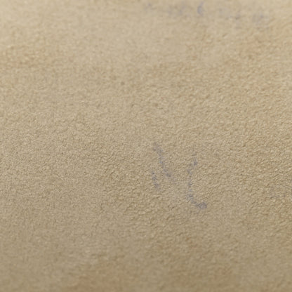 Christian Dior Metallic Grained Calfskin Medium Diorama Flap Bag Silver 11 of 11