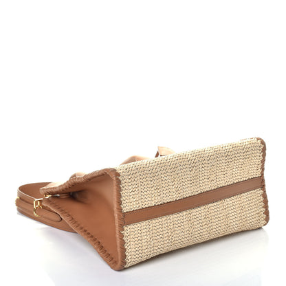 Prada Raffia City Calfskin Whipstitch Medium Paradigme Bag Naturale Caramel 5 of 9