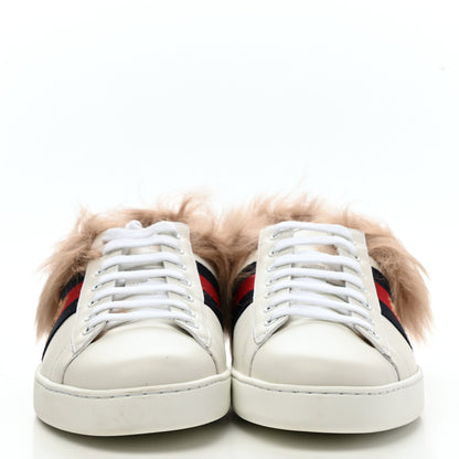 Gucci Calfskin Wool Web Bee Embroidered Mens Ace Sneakers 10 White 2 of 9