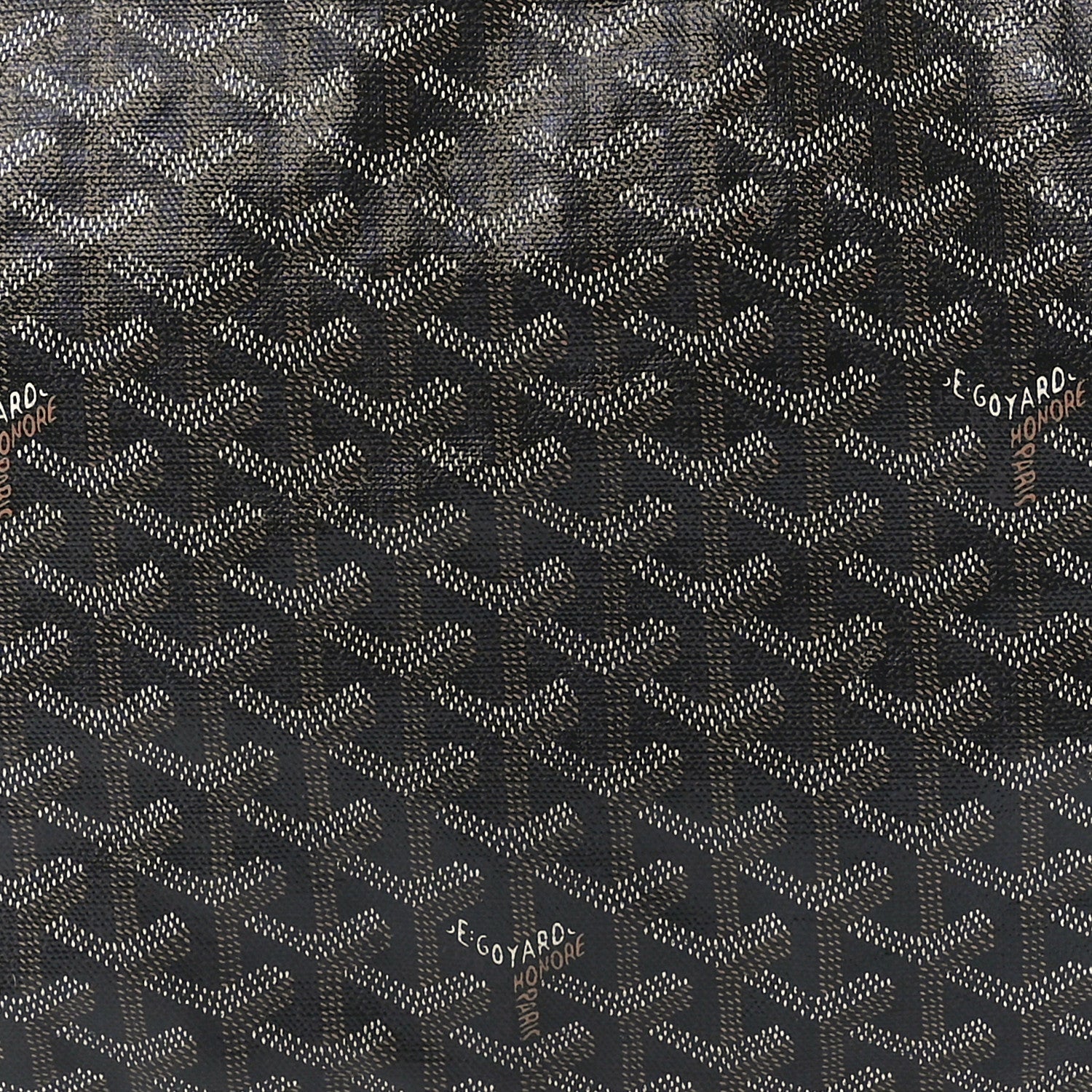 Goyard Goyardine Saint Louis PM Black 9 of 12