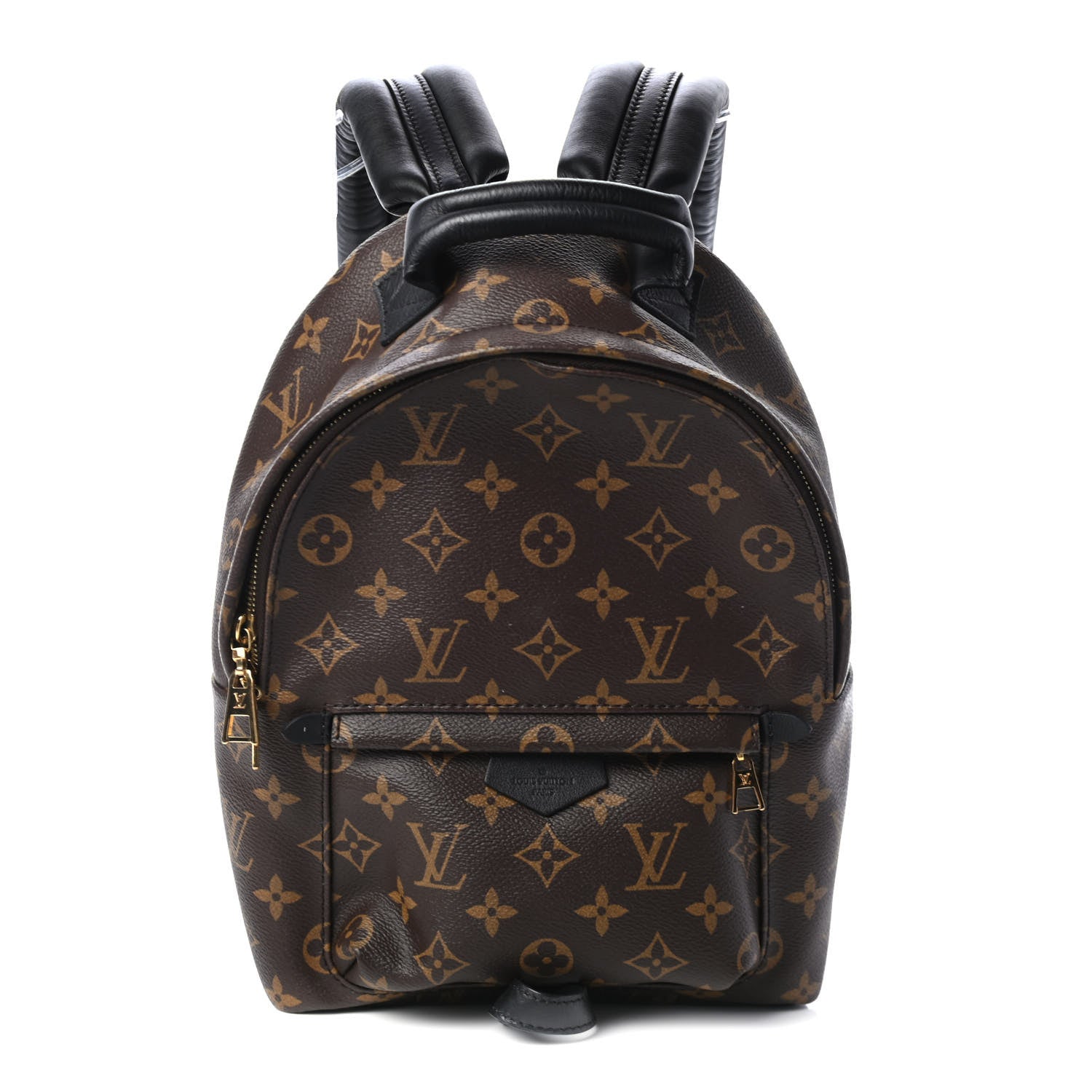 Louis Vuitton Monogram Palm Springs Backpack PM 1 of 4
