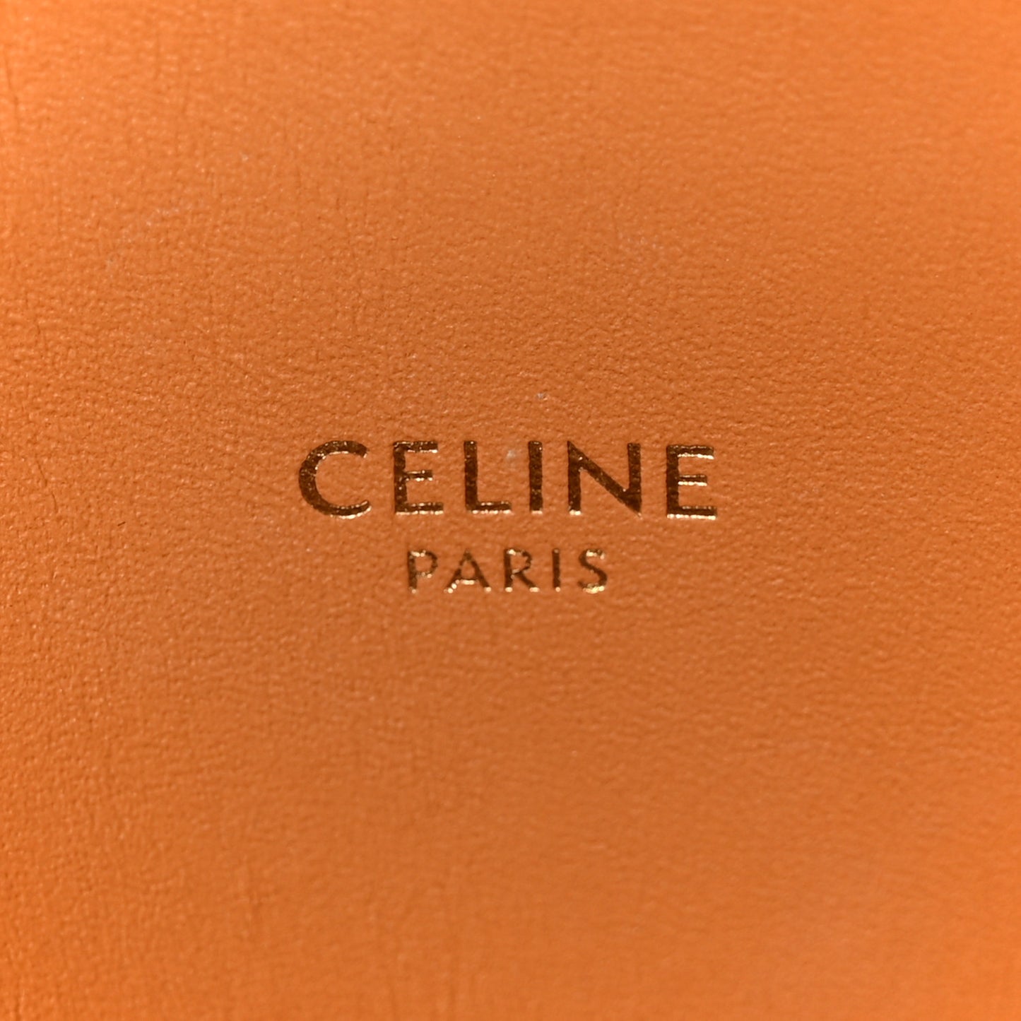 Canvas Calfskin Logo Print Small Vertical Cabas Natural Tan