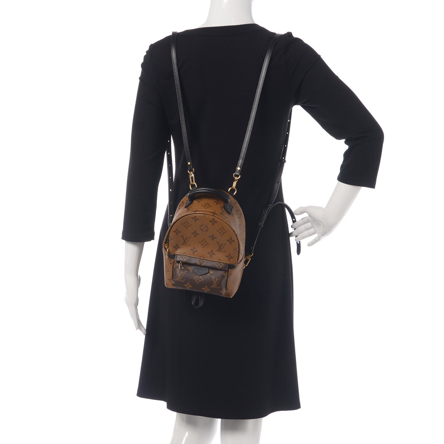 Louis Vuitton Reverse Monogram Palm Springs Backpack Mini 2 of 7