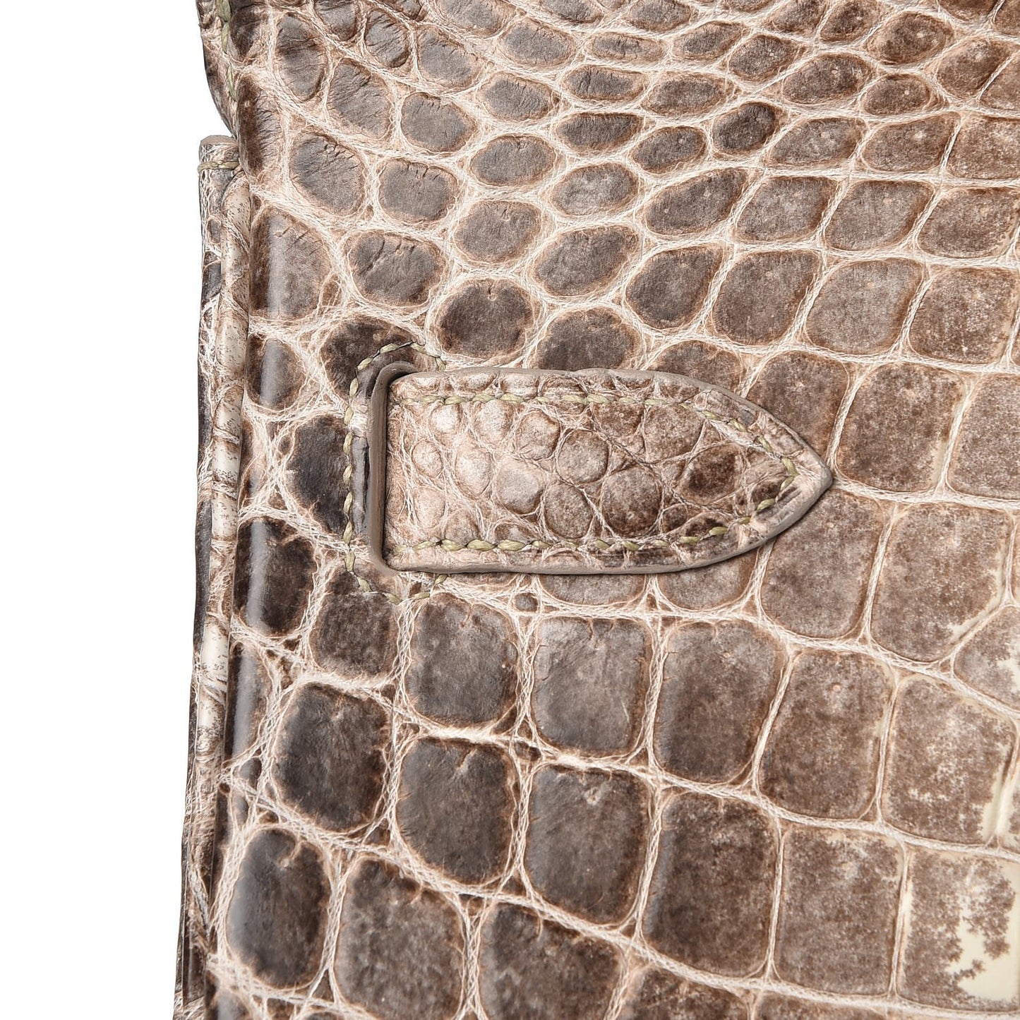 Matte Niloticus Crocodile Himalaya Birkin 30 Blanc