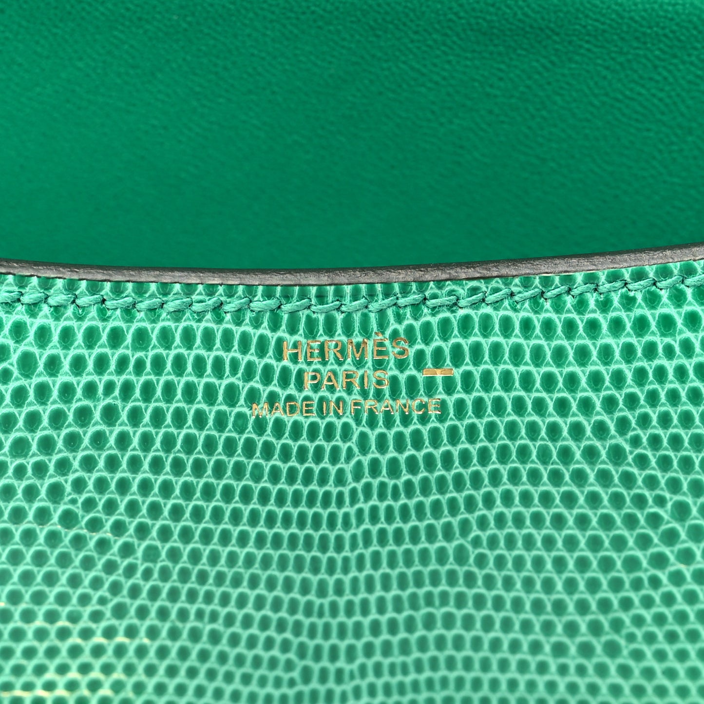 Lizard Constance 18 Menthe