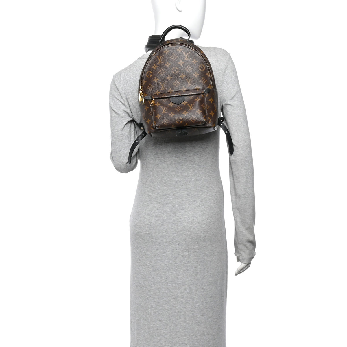 Monogram Palm Springs Backpack PM