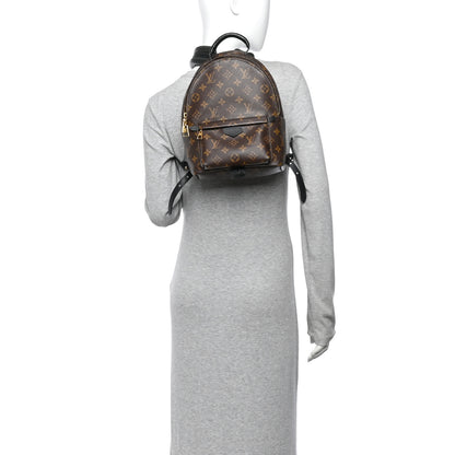 Louis Vuitton Monogram Palm Springs Backpack PM 2 of 12