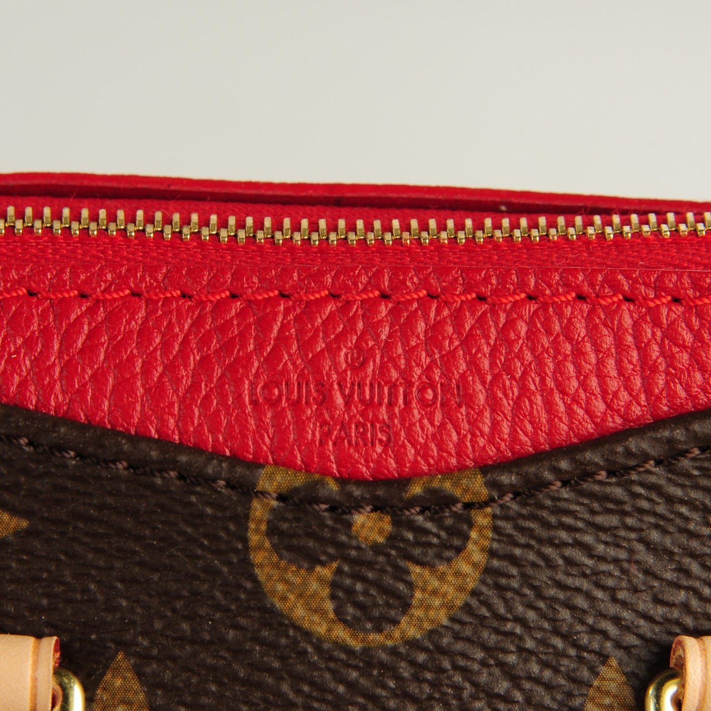 Monogram Nano Pallas Cherry