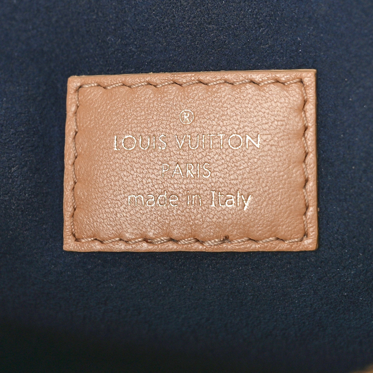 Lambskin Embossed Monogram Coussin PM Camel