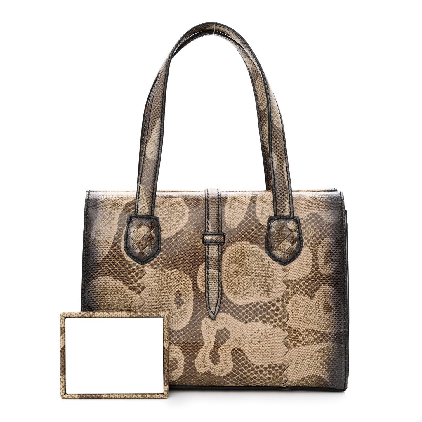 Watersnake Accordion Satchel